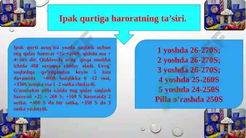 IPAKQURTI EKOLOGIYASI 4