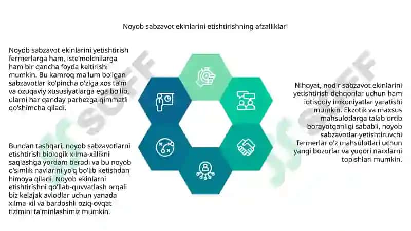Noyob sabzavot ekinlari 4
