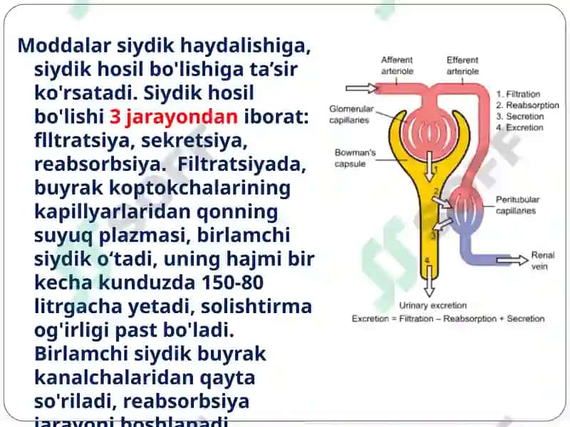 Diuretik vositalar. 4