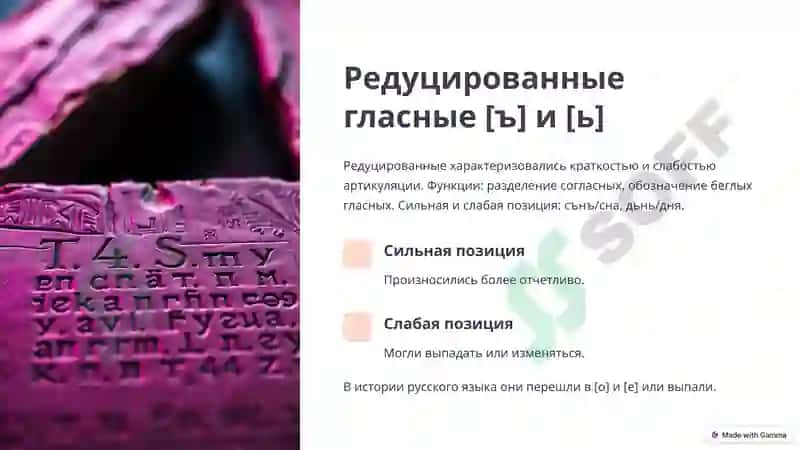 Древнерусский язык: Фонетика X-XI вв. 4