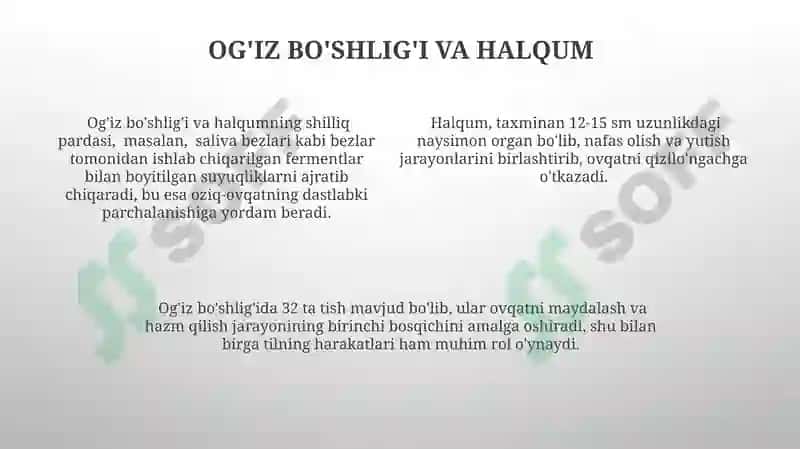 Ovqat hazm qilish sistemasi 4