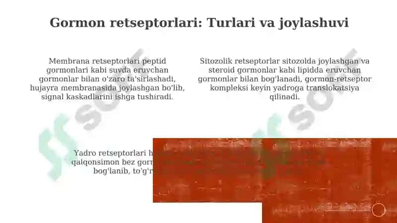 Gormonlarning nishon hujayralarigata'sirmexanizmi 4