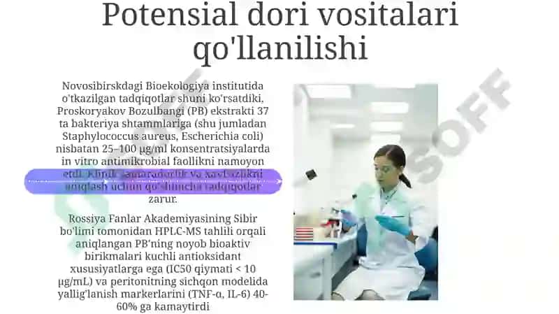 Proskoryakov Bozulbangi 4