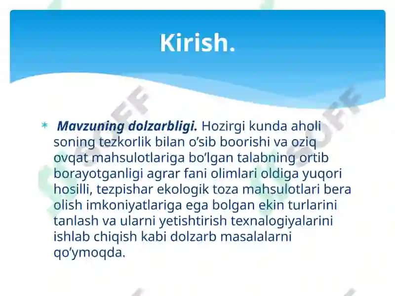BURCHOQDOSHLAROILASI 4