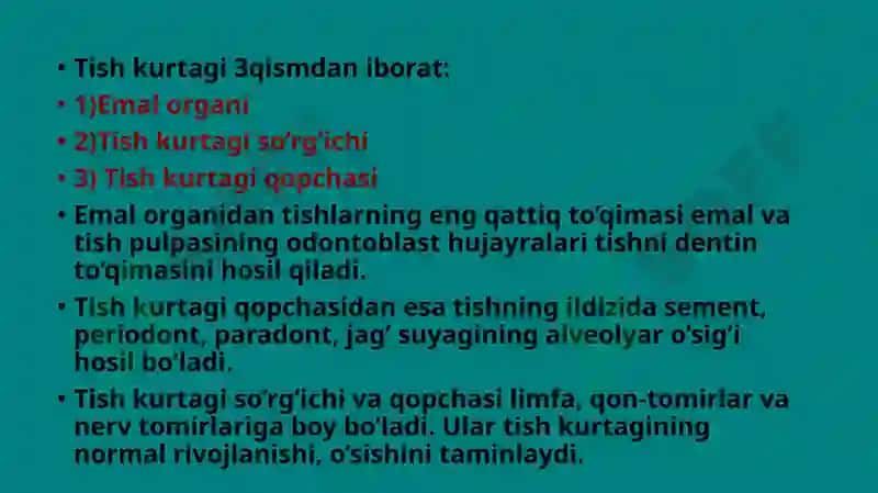 Tishlarning anatomik tuzilishi 4