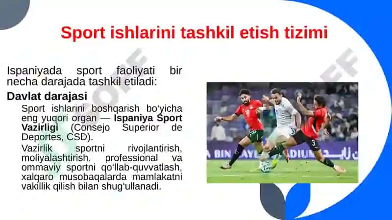 Ispaniya davlatida sport ishlarini tashkil etilishi 4
