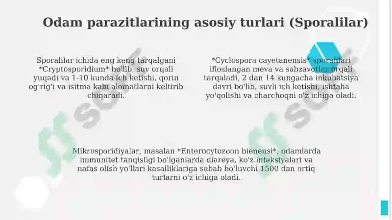 Sporalilar va odam parazitlari 4