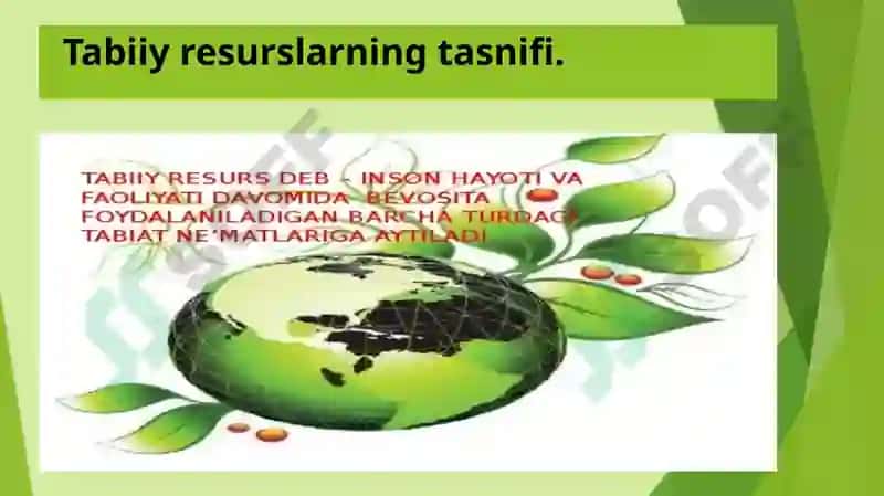 Tabiiy resurslarning tasnifi, konsepsiyalari va tamoyillari 4