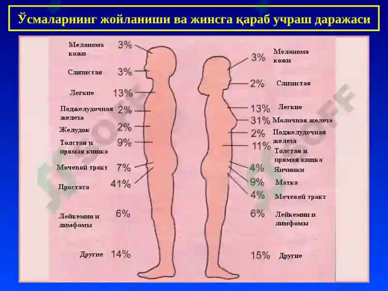 ПАТОЛОГИК АНАТОМИЯ 4