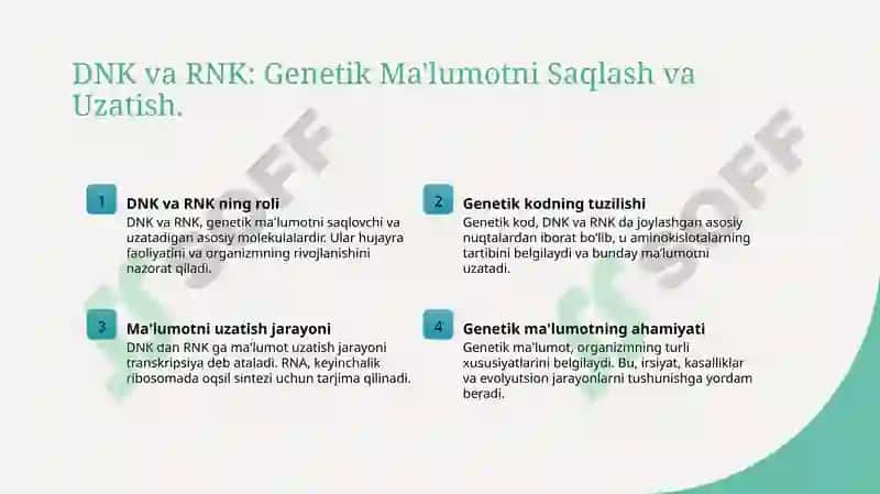 DNK va RNK 4