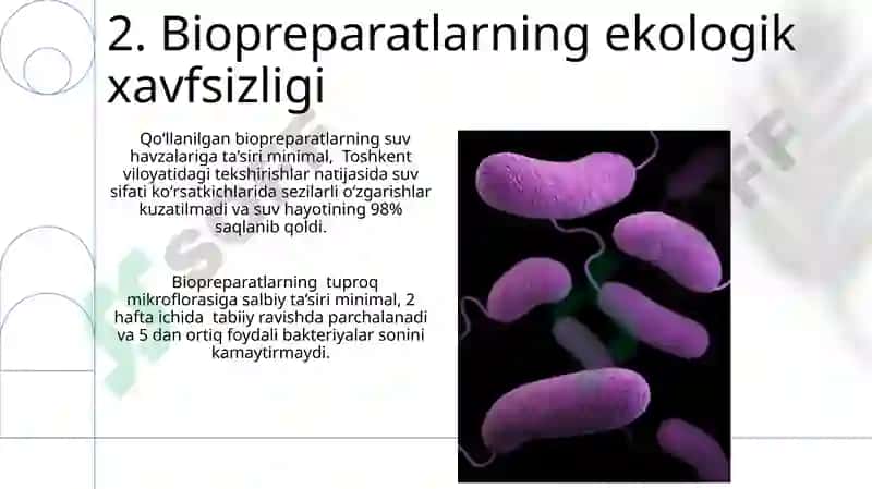 Entomopatogen preparatlar 4