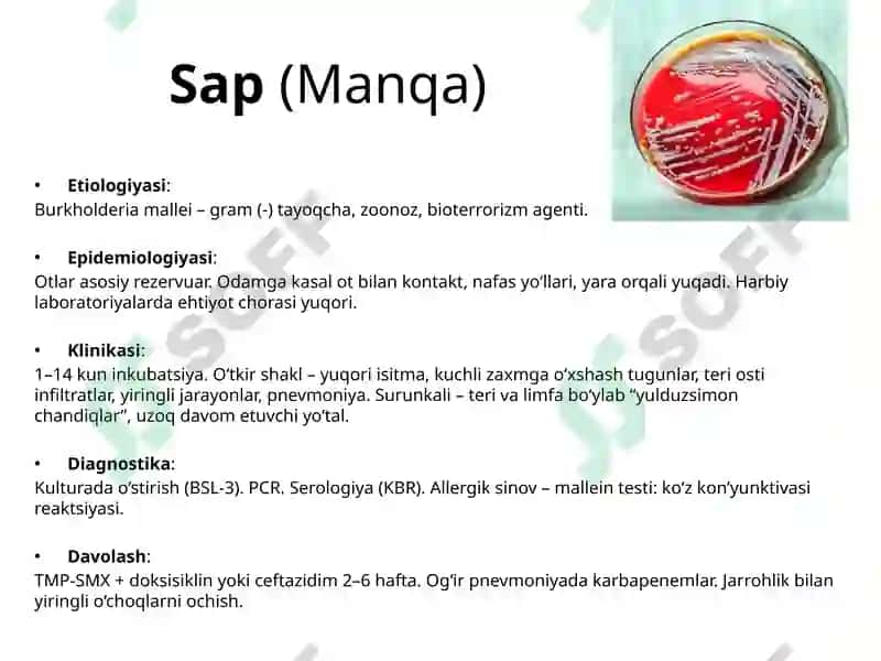 Tulyaremiya imfiksiya 4