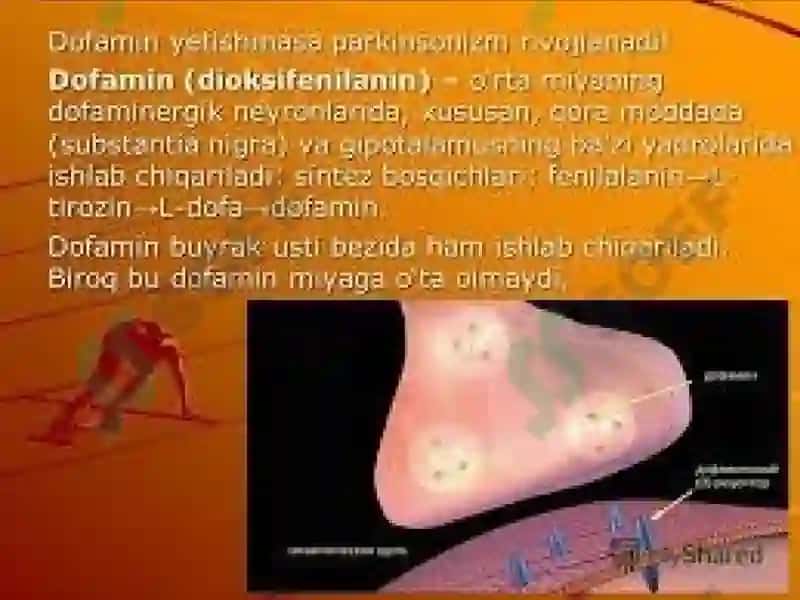 Dofaminva dofaminergik vositalar 4