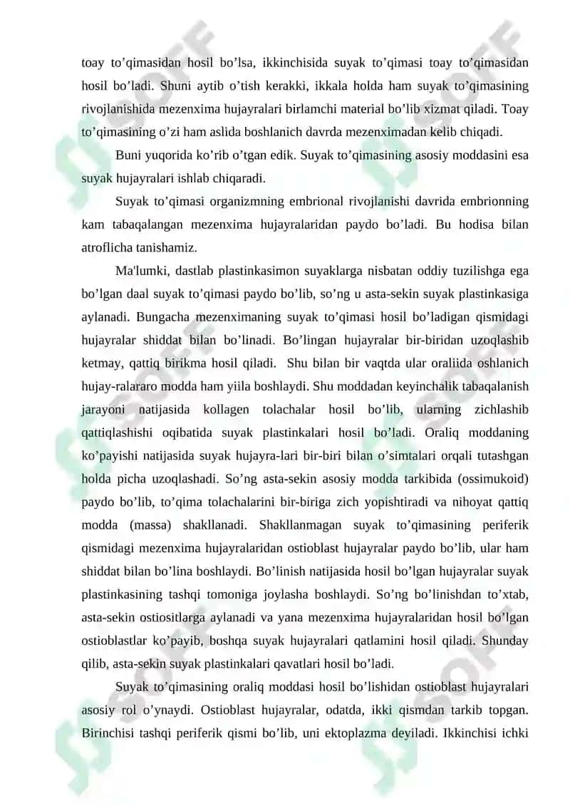 Suyak to’qimasi 4