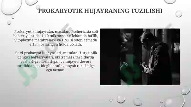 Prakariot hujayra 4