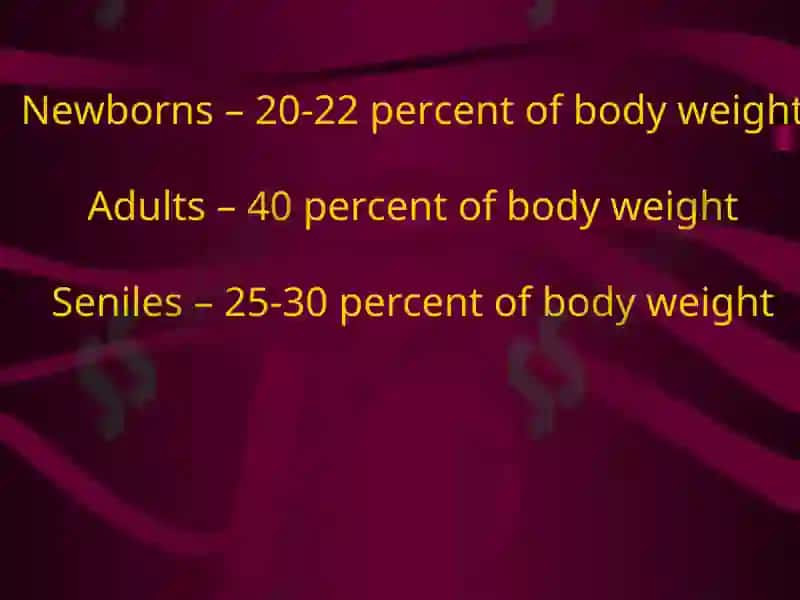 The muscular system 4