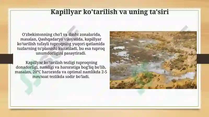 Yer osti suvlari (Rohila) 4