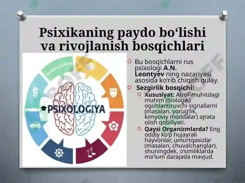 Prezentatsiya.Psixikaning filogenetik taraqqiyoti 4
