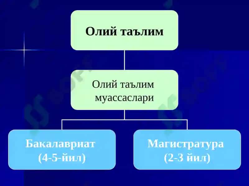 Таълим тўғрисида Қонун 4