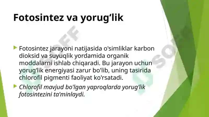 Yorugʻlikning oʻsimliklar hayotidagi ahamiyati 4