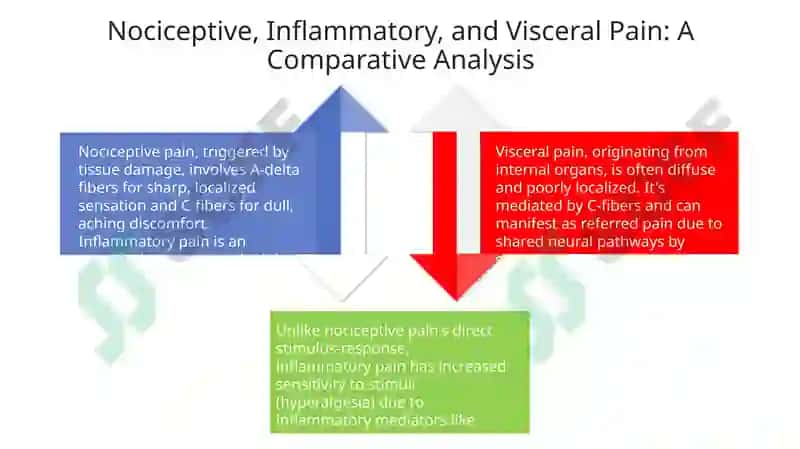Understanding Pain: Types and Characteristics 4