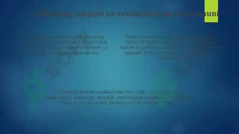Ta'lim to'g'risida Qonun 4