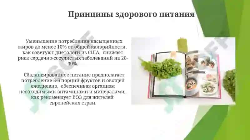 Принципы здорового питания 4