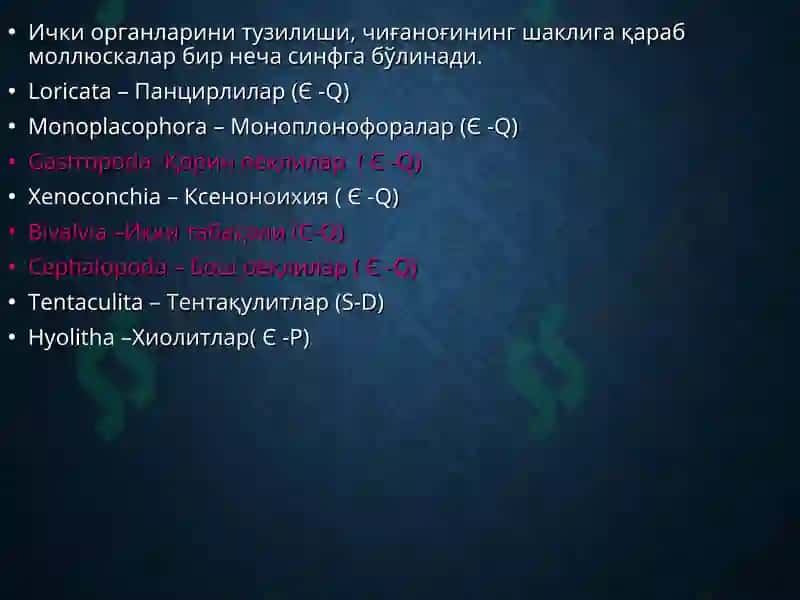 Mollusca – моллюскалар типии 4
