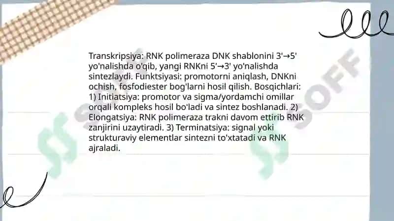 Hujayrada oqsil biosintezi 4