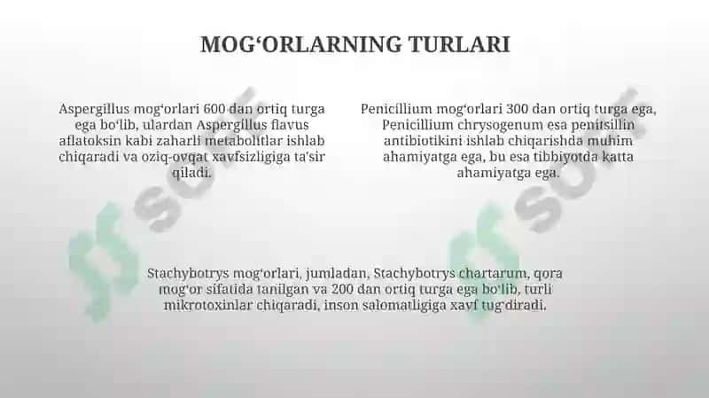 Mogʻorzamburugʻlari 4