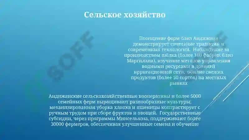 Поездка в Андижанскую область 4