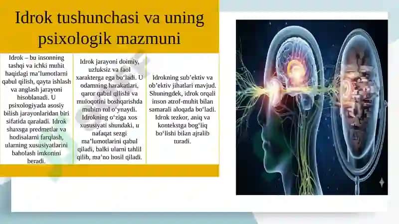 Idrokning neyrofiziologik mexanizmlari 4