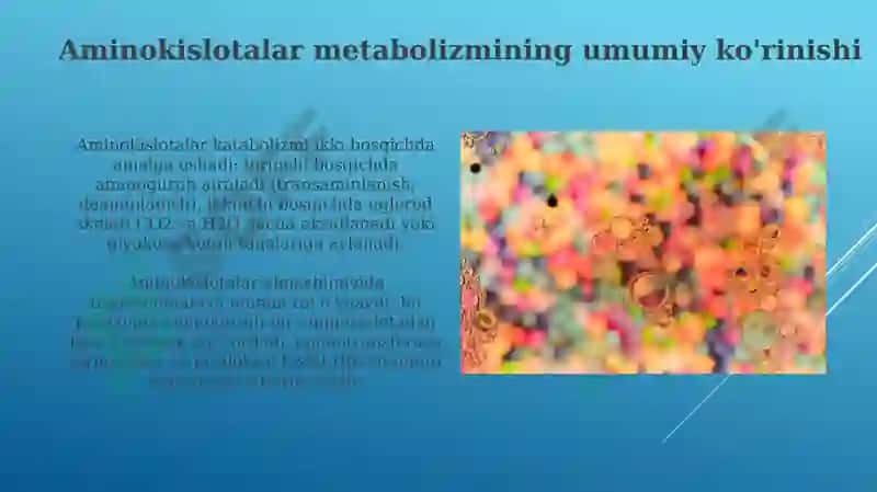 Ayrim aminokislotalar almashinuvi 4