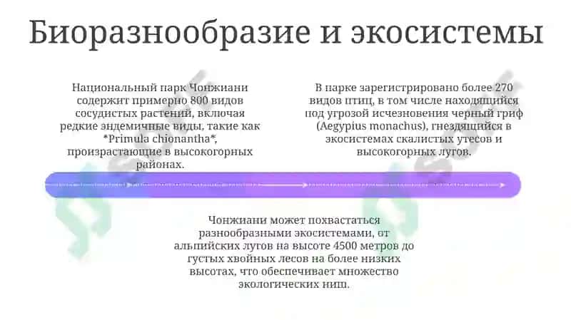 Национальный парк Чонджани 4