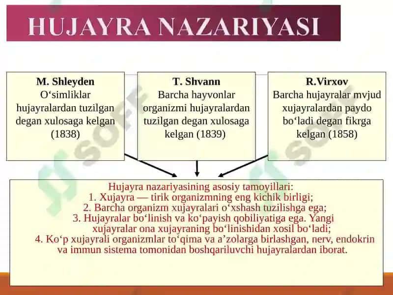 Sitologiya fanidan ma'ruza 4