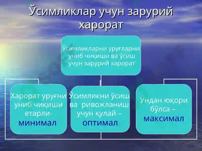 Тупроқнинг иссиқлик режими ва уни бошқариш 4