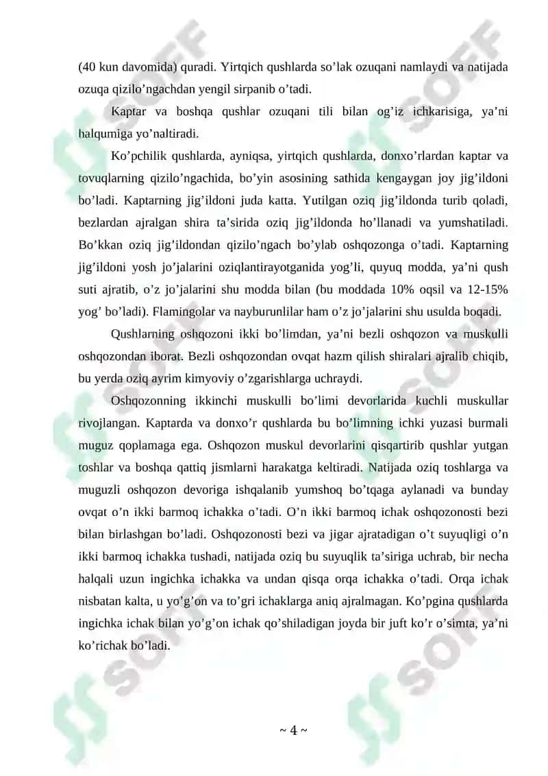 Qushlar sinfi Kurs ishi 4