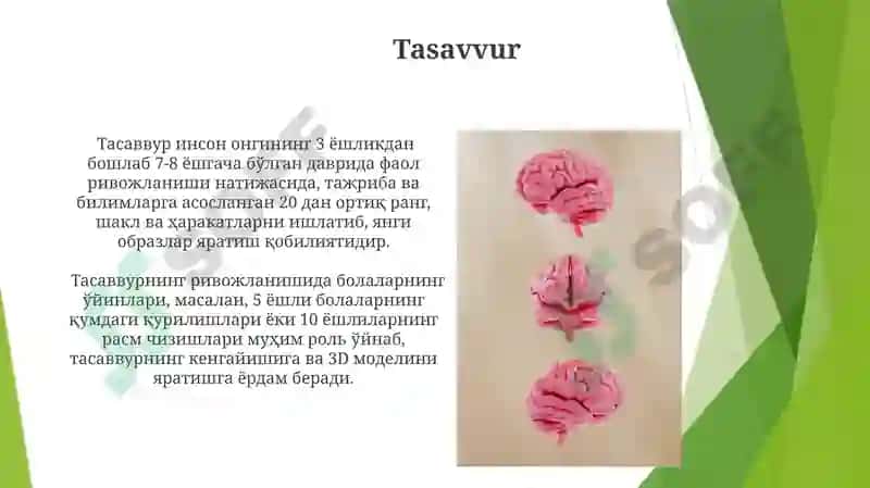 Kognitiv jarayonlar 4
