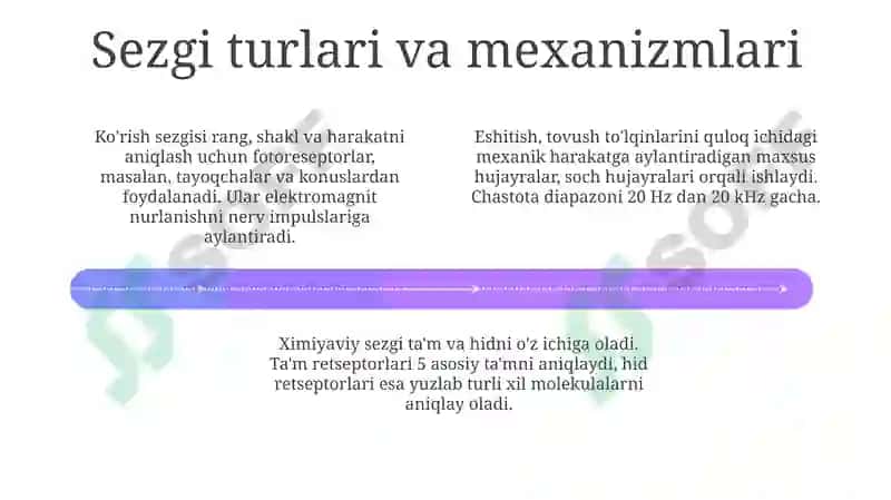 Hayvonot olamida psixik funksiyaning evolyutsiyasi 4