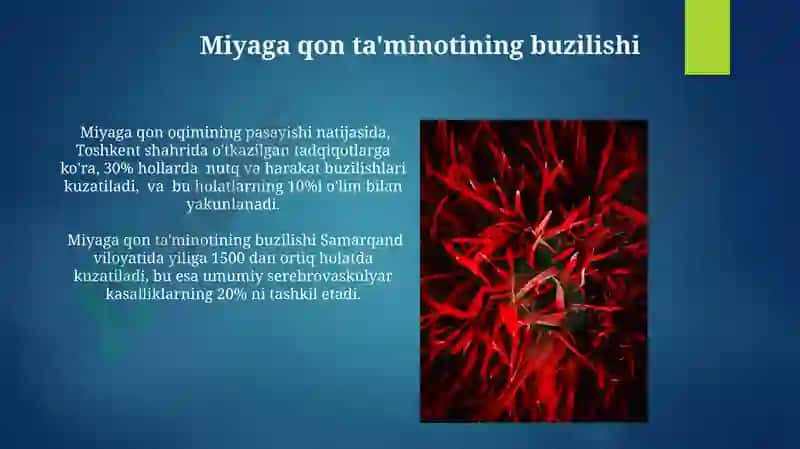 MRT angiografiyasi 4