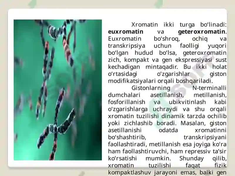 Gistonoqsillarining madifikatsiyalari 4