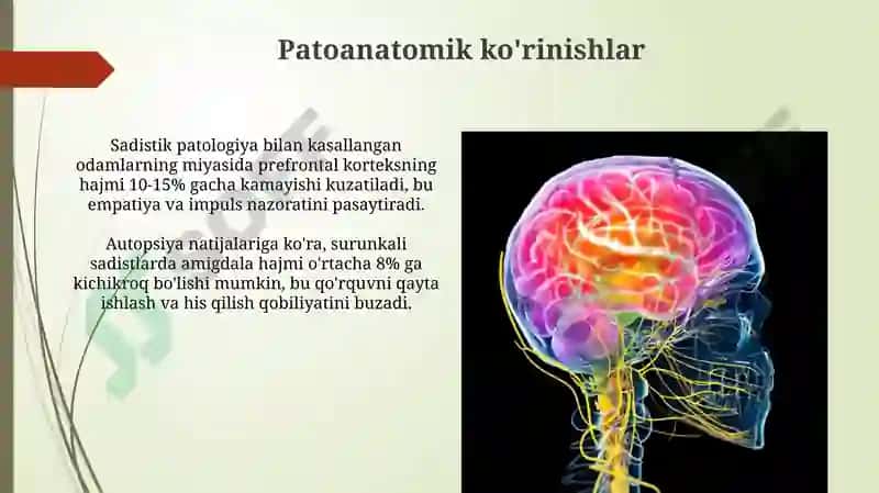 Xomiladorlik patalogiyasi 4