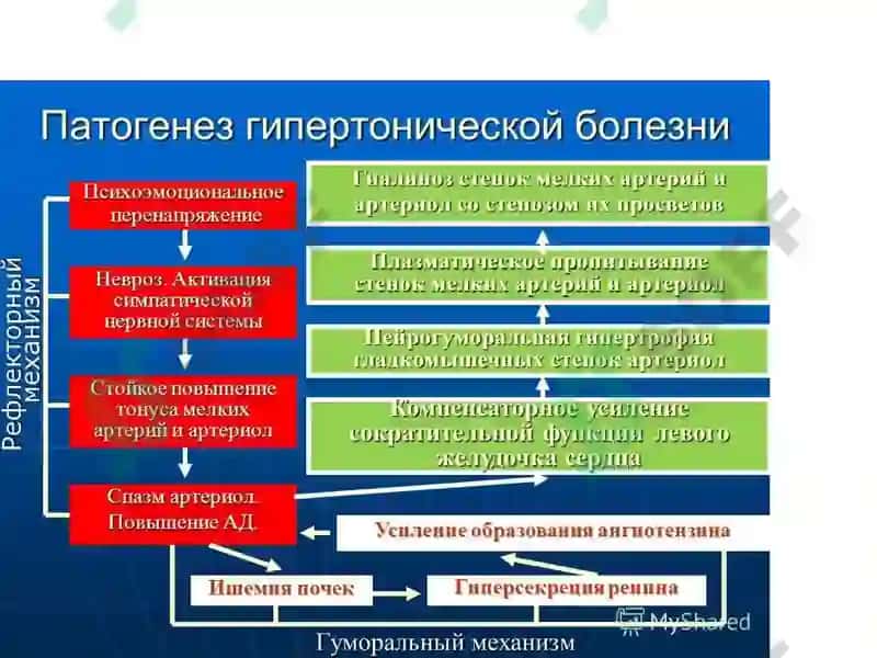 Гипертония касаллиги 4