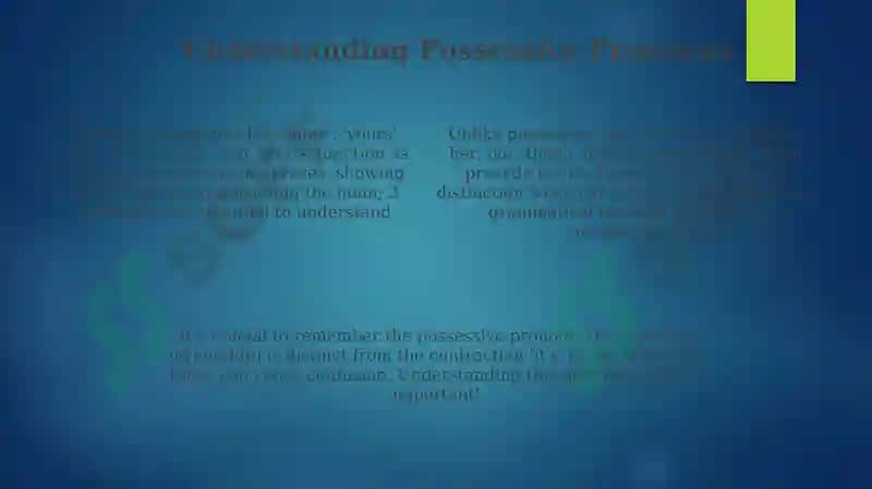 Possessive adjectives and pronouns 4