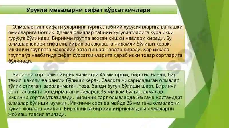 Янгисабзавотлар 4
