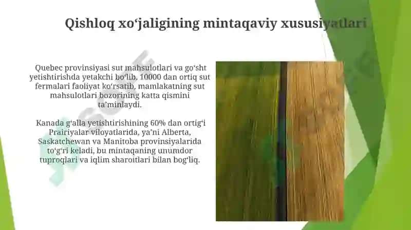 Kanada qishloq xo‘jaligi 4