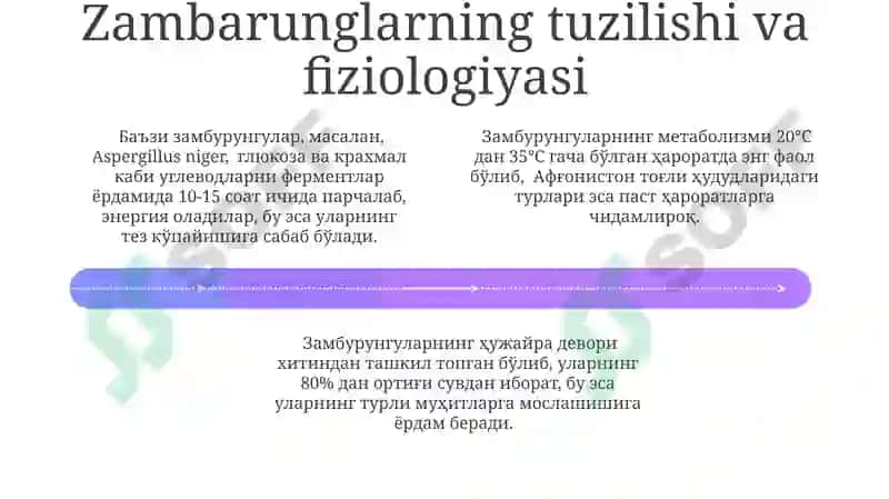 Zambarung Kasalliklarining Davolash Usullari 4