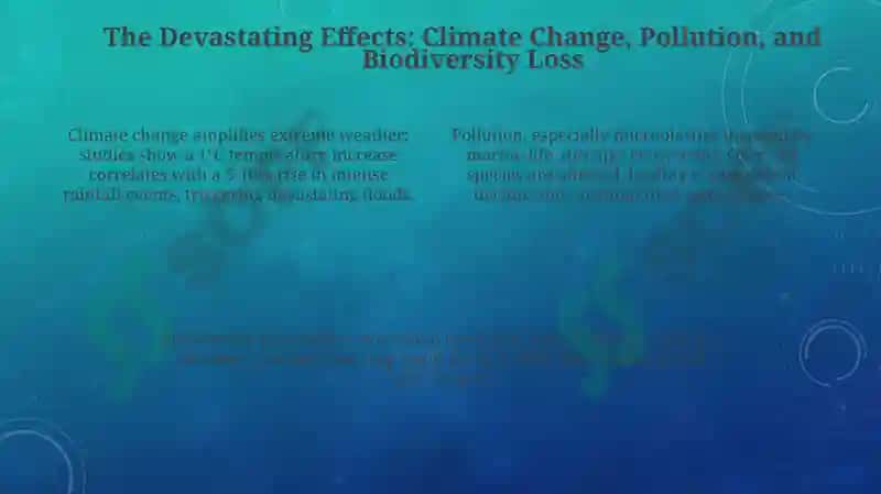 Environmental problems presentation 4