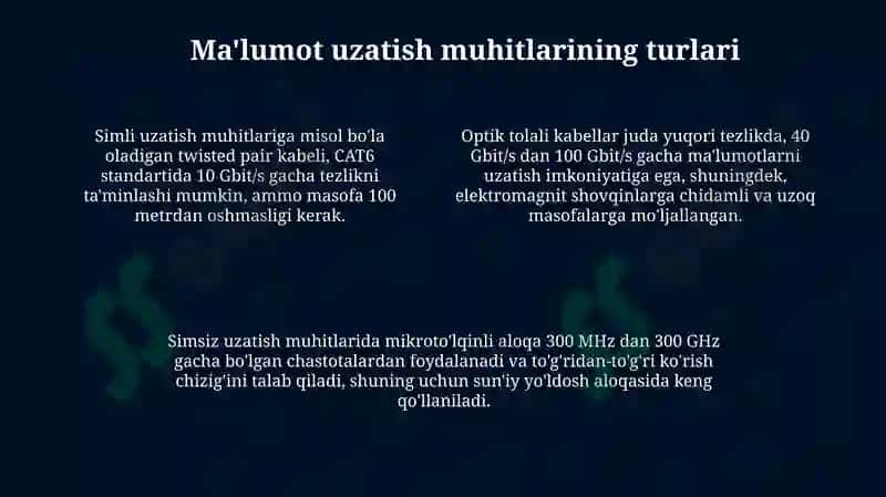 Kompyuter tarmoqlarining tasnifi 4