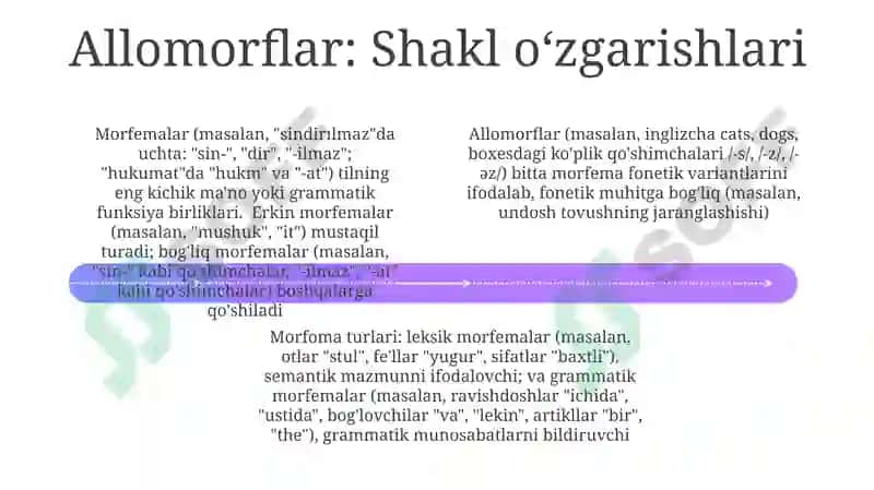 Morf va morfema. Morfema turlari 4